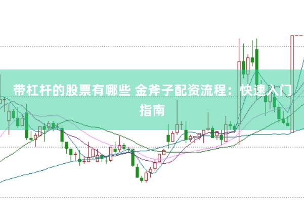 带杠杆的股票有哪些 金斧子配资流程：快速入门指南