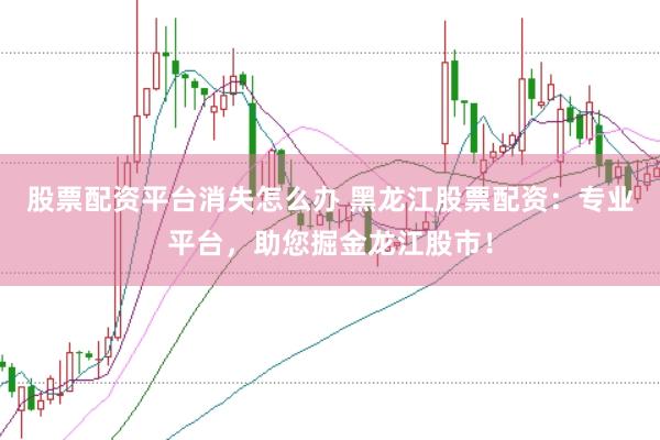 股票配资平台消失怎么办 黑龙江股票配资：专业平台，助您掘金龙江股市！
