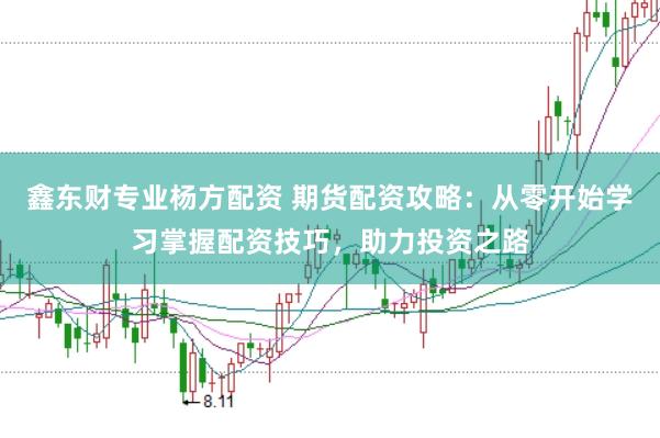 鑫东财专业杨方配资 期货配资攻略：从零开始学习掌握配资技巧，助力投资之路